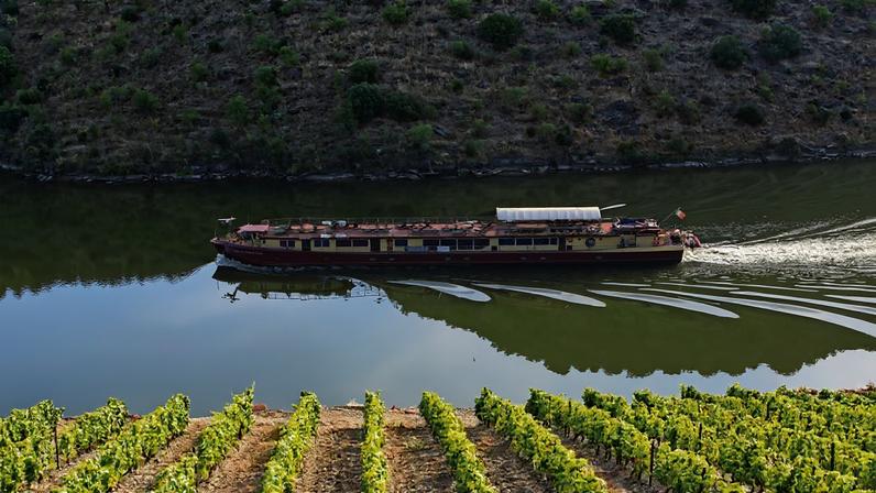 Autoridade da Mobilidade quer ligar transporte fluvial do Douro à ferrovia