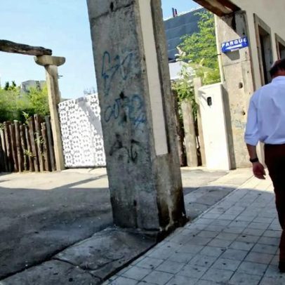 População transforma baldio em jardim de proximidade no Porto