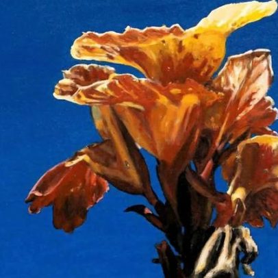 Évora recebe a exposição as paisagens mudam de lugar da Fundação PLMJ