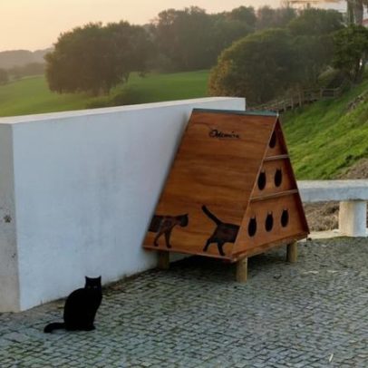 Odemira instala sete abrigos para gatos em Vila Nova de Milfontes