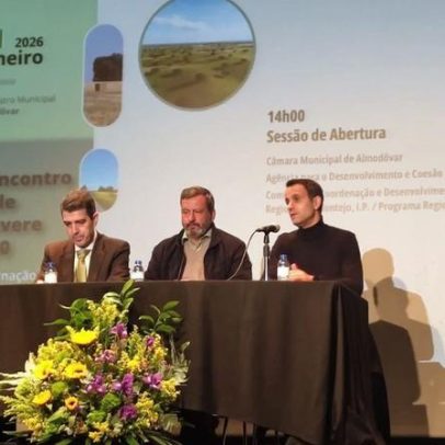 CIMAC participa no II Encontro da Rede PROVERE 2030 em Almodôvar