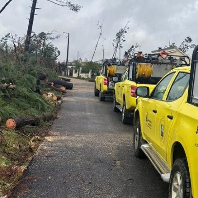Sapadores do Alto Alentejo reforçam apoio no Médio Tejo a Kristin