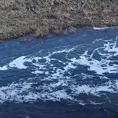 ProTejo alerta para foco de poluição entre Fratel e Barca da Amieira