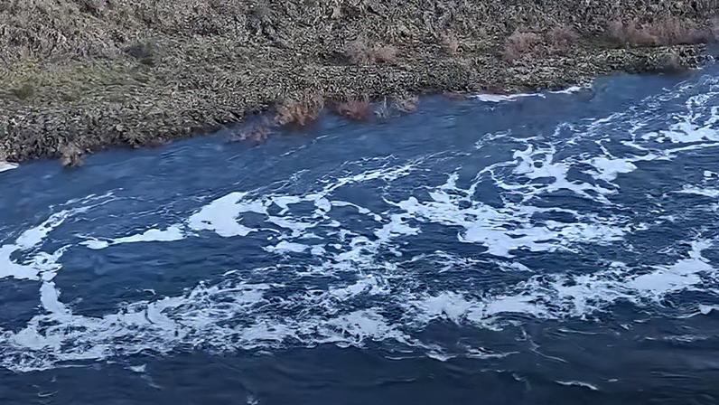 ProTejo alerta para foco de poluição entre barragem do Fratel e Barca da Amieira