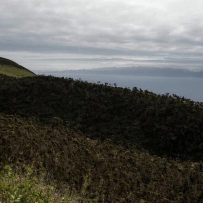 Derrocada fecha acesso à Fajã dos Cubres, São Jorge