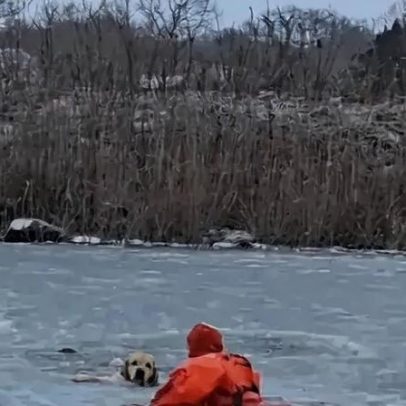 Bombeiro atravessa lago gelado para salvar cão