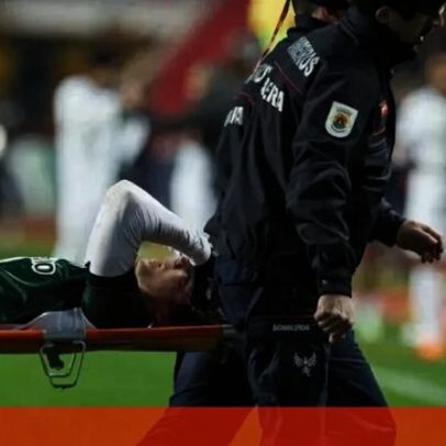 Incidente com leão provoca lesões, suspensões e várias dores de cabeça