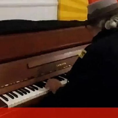 Manuel João Vieira canta 'Marilú' no encerramento da noite eleitoral