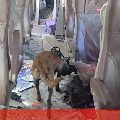 Cães treinados procuram restos mortais em comboios após acidente em Espanha