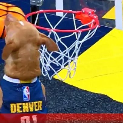 Cão faz afundanço durante o intervalo de jogo da NBA