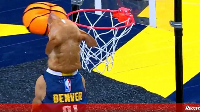 Duelo entre Denver Nuggets e Los Angeles Lakers ficou marcado por momento único