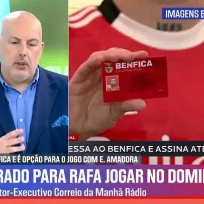 Rafa é a opção principal para a posição no Benfica, aponta análise