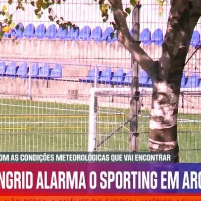 Possibilidade de neve no Arouca-Sporting: leões prontos para eventualidade