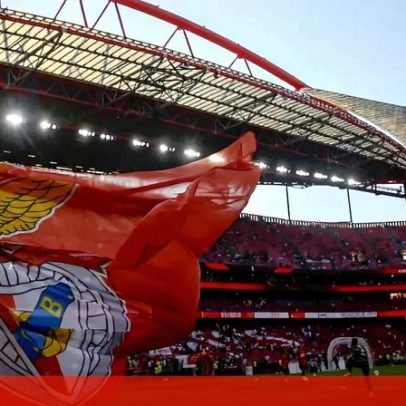 Renovação com a NOS: Benfica recebe montante nos próximos dois anos
