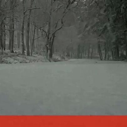 Nevada na Serra da Lousã deixa paisagem branca e fecha várias estradas