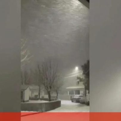 Portugueses captam imagens da neve de Norte a Sul, de Bragança a Lisboa