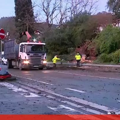 Queda de árvore mata pessoa em Vila Franca de Xira