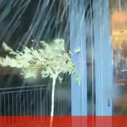 Vento forte em Coimbra impede equipa da CMTV de realizar reportagem no exterior