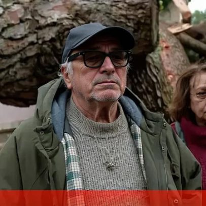 Palacete de José Cid sofre danos graves após mau tempo e queda de árvore