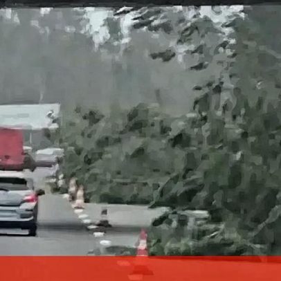 Árvores na estrada e vias cortadas marcam a visita do Lus. Lourosa em Leiria