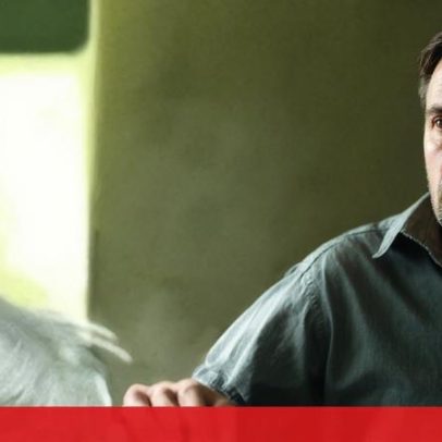 Inimputável libertado pela justiça detido por aterrorizar pais em Cascais