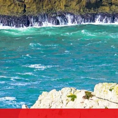 Defeso do sargo reduzido em 15 dias no Parque Natural do Sudoeste Alentejano