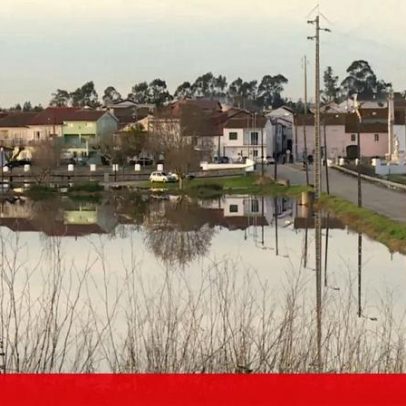 Várias freguesias de Montemor-o-Velho continuam sem energia