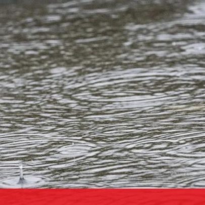 Portugal continental regista 130 ocorrências por mau tempo: quedas de árvores