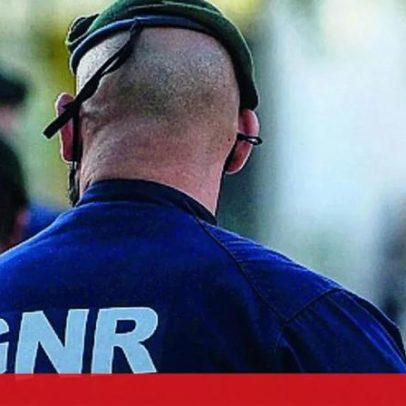 GNR resgata 104 animais exóticos em Penafiel; arguido por maus-tratos