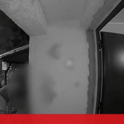 Juíza que libertou bombeiro agressor da Madeira deixou violador à solta