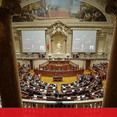 PSD justifica chumbos de Chega e PAN por lei que manda utentes SNS a privados