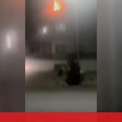 Incêndio em apartamento em Cascais deixa cinco feridos