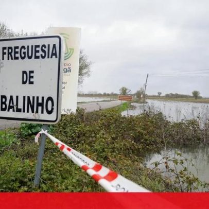 Subida do Tejo inunda campos agrícolas e deixa estradas submersas