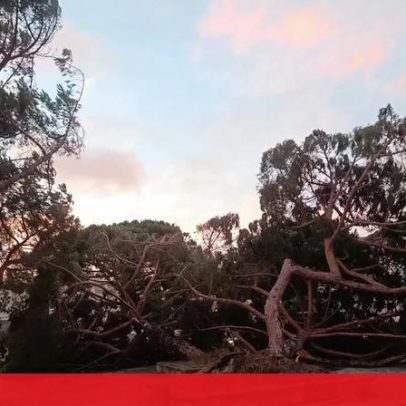 Presidente de Alvaiázere fala em cenário catastrófico