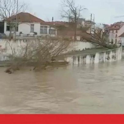 Furacão Leslie volta a levar estufas em Leiria
