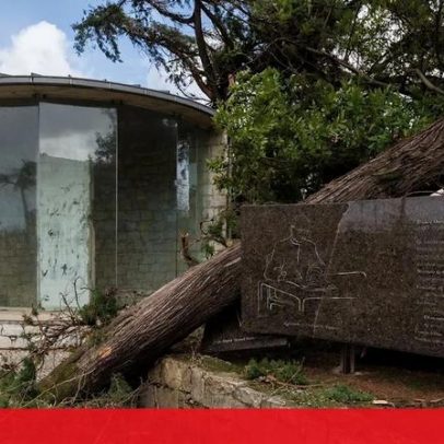 Ventos fortes causam quedas de árvores e estragos no Santuário de Fátima
