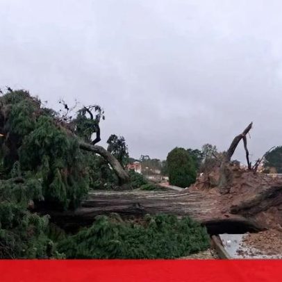 Prejuízos com mau tempo na Tábua ultrapassam um milhão de euros