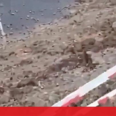 Desabamento parcial de rua em Sintra danifica prédio