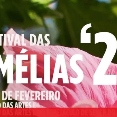 Festival das Camélias em Sever do Vouga celebra arte e tradição