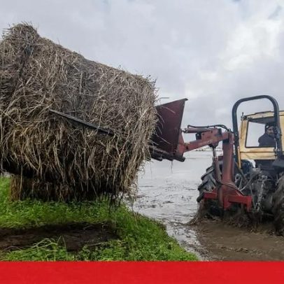 Níveis de água no Mondego permanecem estáveis