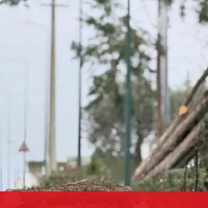 Marinha atua no terreno com militares, botes e geradores