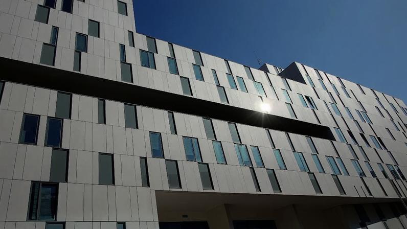 Ex-fisioterapeuta do Sporting arguido por tráfico de anabolizantes na 'Operação Harry Potter'