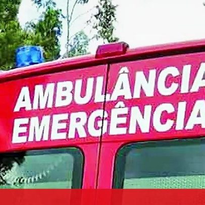 Homem morre ao ser atingido por árvore em Felgueiras