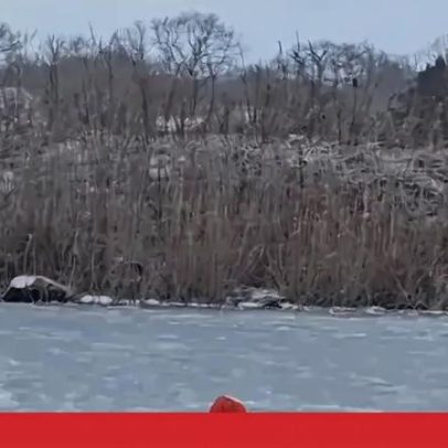 Bombeiro atravessa lago gelado para salvar cão