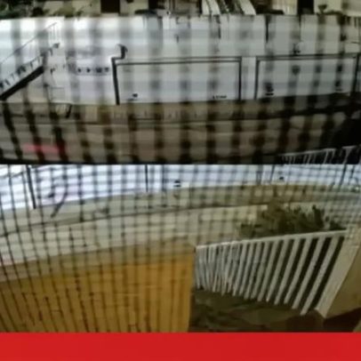 Videovigilância capta tiros na fachada de casa em Silves