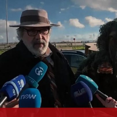 Manuel João Vieira vê tudo ao contrário na floresta e na paisagem