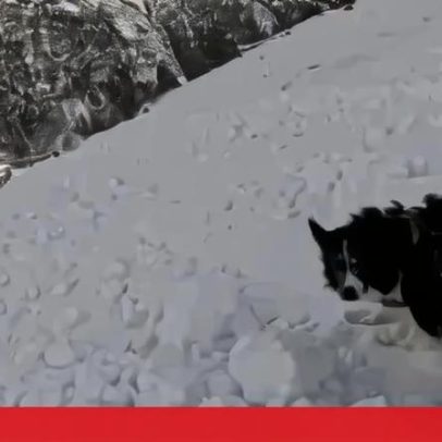 Ares Masip estava a esquiar com o cão quando foi apanhado por avalanche