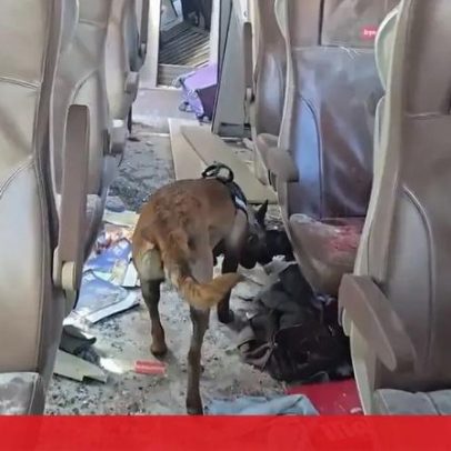 Cães treinados buscam restos mortais em comboios após acidente ferroviário na Espanha