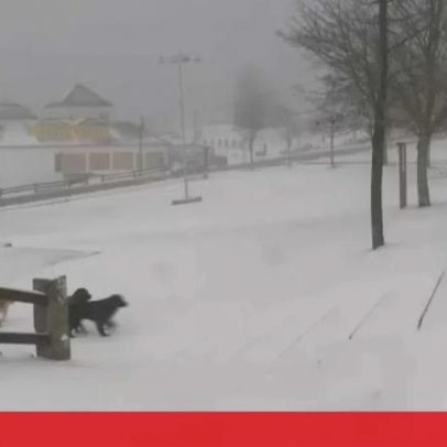 Acesso à Torre na Serra da Estrela encerrado por vento e neve