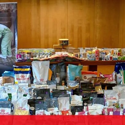 GNR resgata 104 animais exóticos em loja de Penafiel, homem constituído arguido